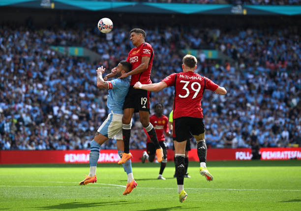 手柄庆祝动 手柄庆祝动