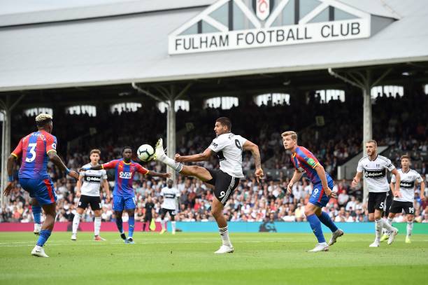 友般的老对 友般的老对